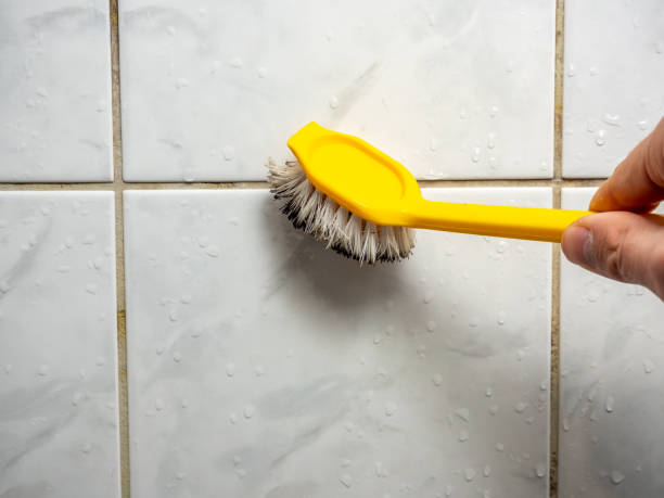 Best Mold Cleaning Services  in Scotts Valley, CA