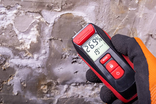 Best Toxic Mold Removal  in Scotts Valley, CA