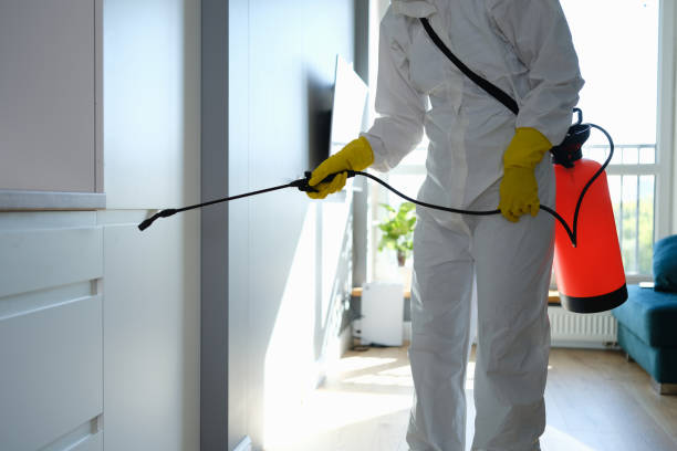 Best Commercial Mold Removal  in Scotts Valley, CA
