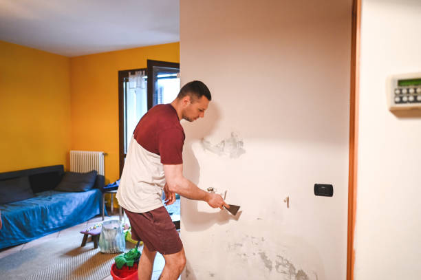 Best Home Mold Removal  in Scotts Valley, CA