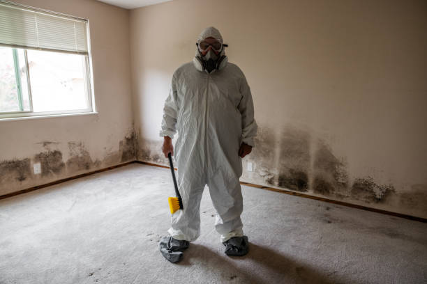 Best Crawl Space Mold Removal  in Scotts Valley, CA